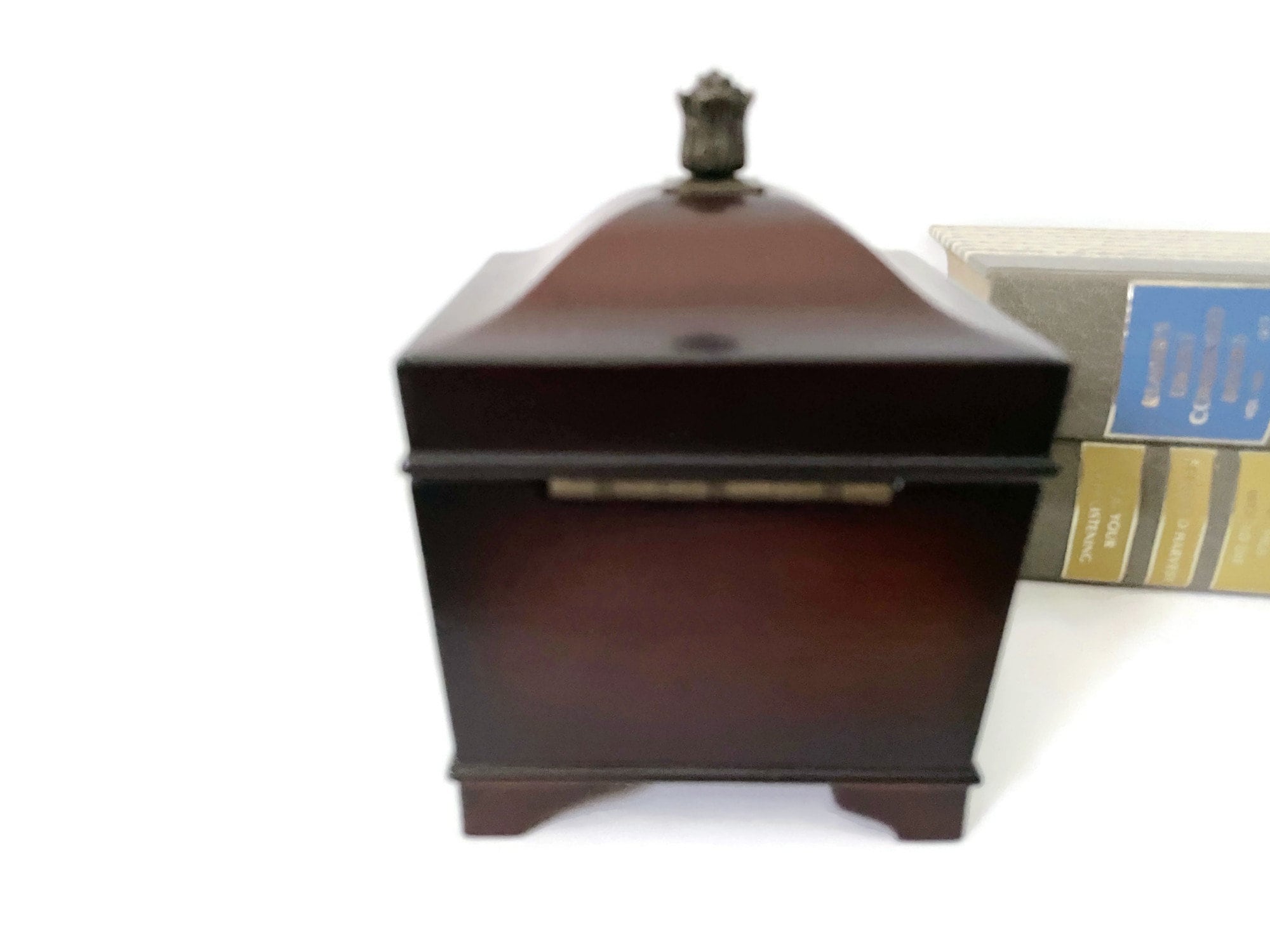 The Bombay company ショーケース The Bombay company ショーケース