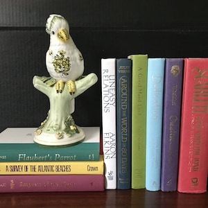 Set di libri decorativi arcobaleno con copertina rigida, collezione di lotti, libreria decorativa luminosa e colorata