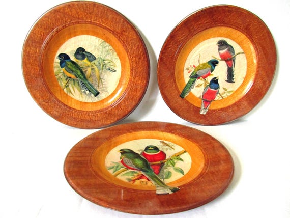 Colorful Birds Decorative Plates Avian Bird Wall Art Vintage Etsy
