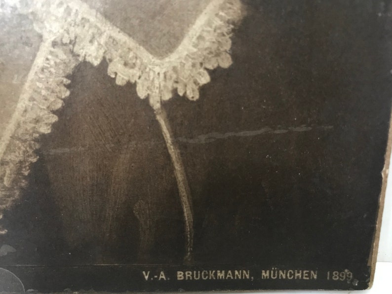 Kinderbildnis Bruckmann Munich 1899 Albert Cuyp Antique Lithograph Dutch Boy 8 x 10