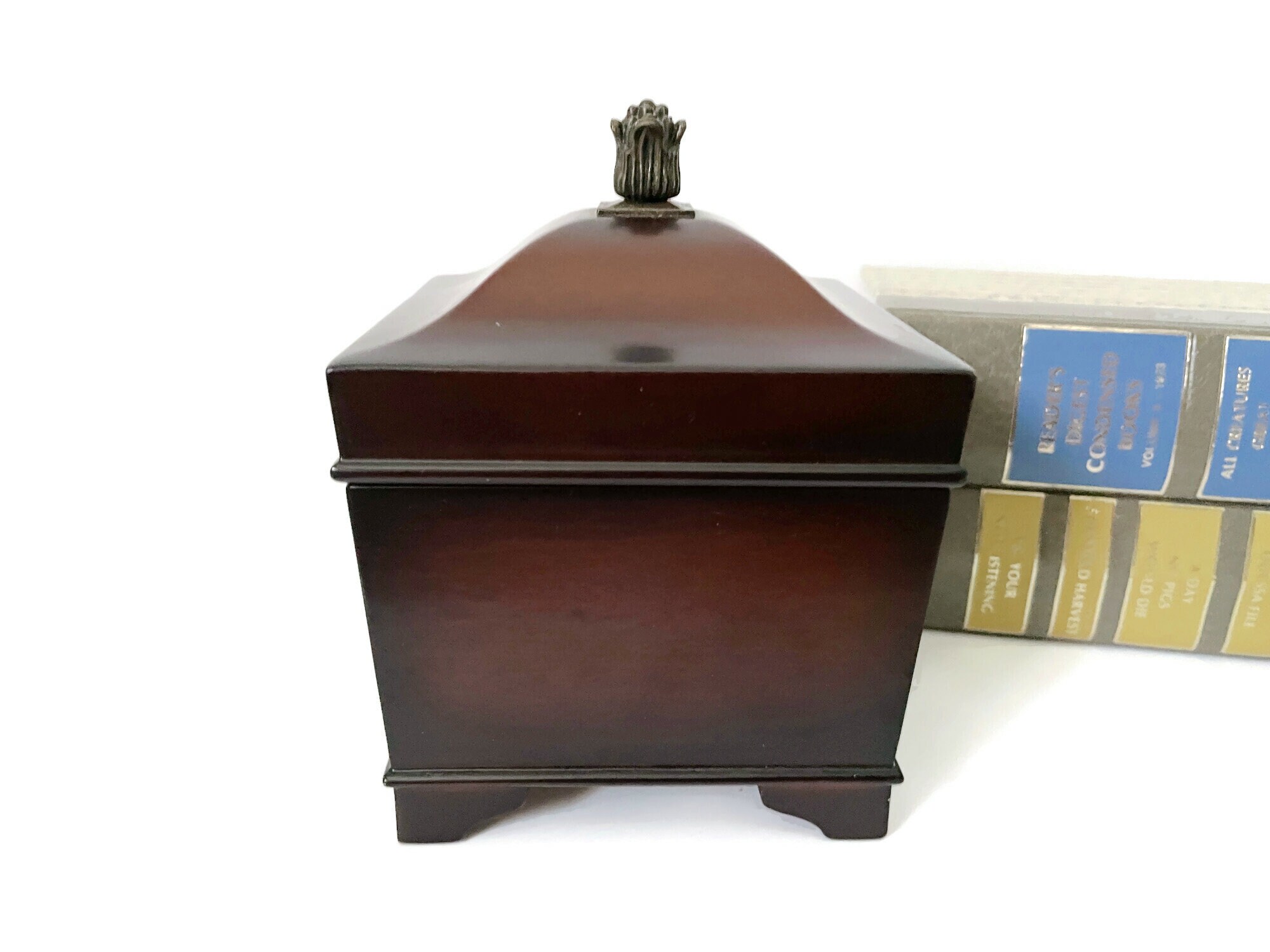 The Bombay company ショーケース The Bombay company ショーケース