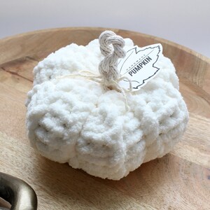 May include: White crocheted pumpkin on a wooden tray with a tag that says "Handmade Pumpkin".