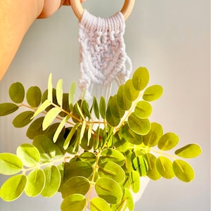 May include: White macrame plant hanger with a wooden ring, holding a potted green plant with small leaves.