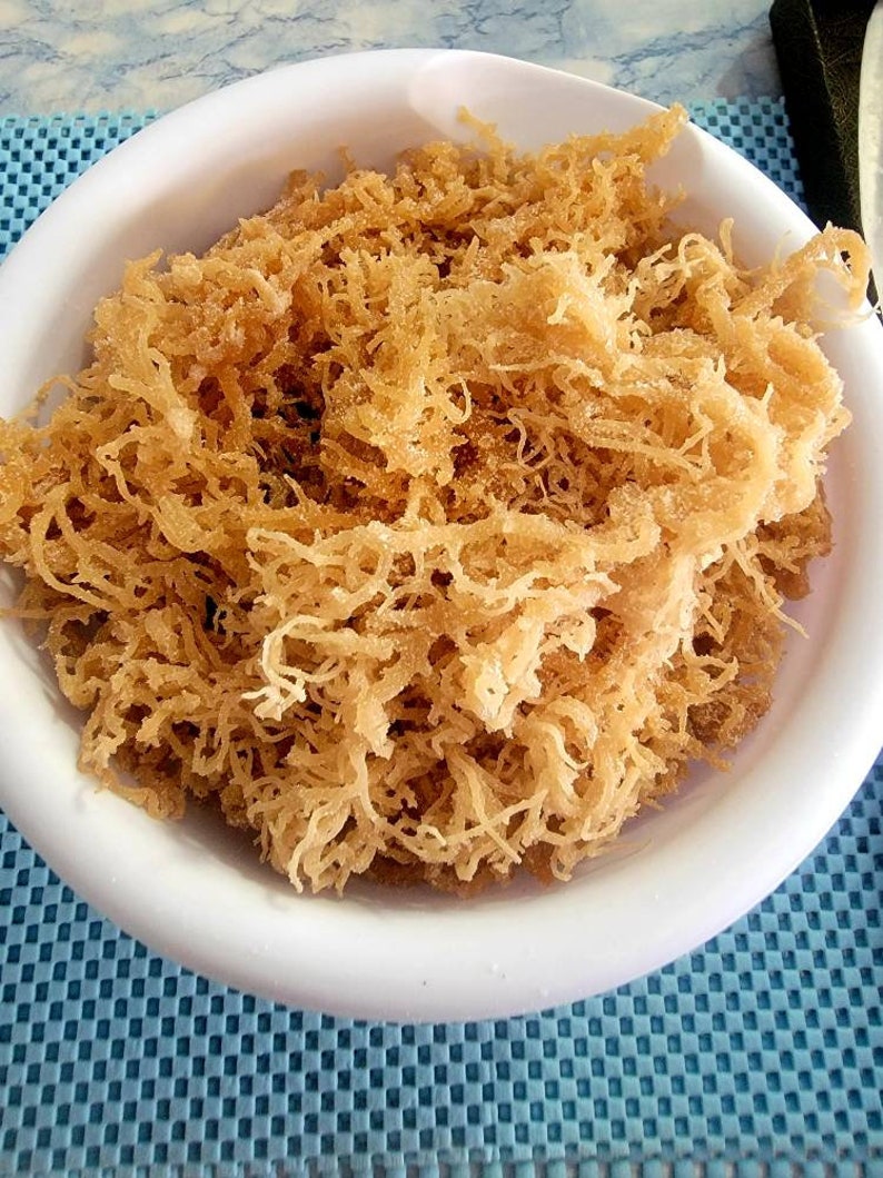 10 lbs Raw Wildcrafted Jamaican Sea moss Etsy