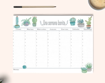 Weekly planner, desk planner, organize tasks, calendar, weekly plan, pretty stationery, gift idea, catus weekly planner. Watercolor planner