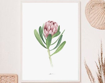 PROTEA: Ilustración flor tropical, pintura en acuarelas, idea regalo, decoración de pared tonalidades suaves. Pack de tres ilustraciones