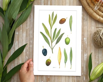 Olive Tree Print, Olive watercolor paint, Kitchen decor, Botanical print, Olive Leaf Print, Greenery Decor, Housewarming gift idea.