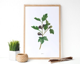 Fig Botanical Print, Fig print, Botanical Print, Kitchen decor, Kitchen Wall Art, Fruit wall art, Greenery Decor, Housewarming gift idea.