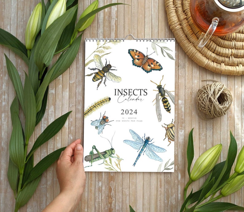 Calendar 2024, Wall Calendar 2024, Insects Calendar 2024, Calendar 2024