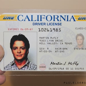 Terug naar de toekomst Marty Mcfly rijbewijs Digitale download