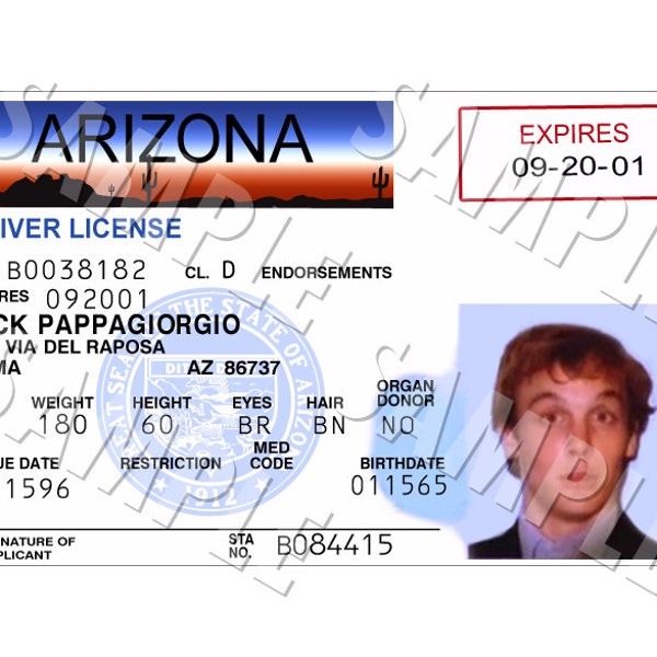 National Lampoons Vegas Vacation, Rusty's Fake Driving Licence, Replica Prop,  PDF, Digital Download