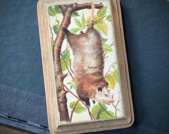 MINI Possum Opossum Portrait Distressed Plaque Sign Anthropomorphic Wall Decor Decoration Gift Animal Collection Vintage Illustration