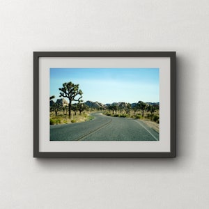 Joshua Tree