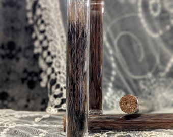 May include: A glass tube with a cork stopper contains a brown and gray squirrel tail. The label on the tube reads "Squirrel Tail (Sciurus carolinensis)".
