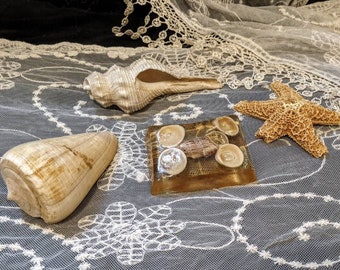 May include: A seashell display with a starfish, a seashell, and a small glass box filled with seashells. The display is on a white lace tablecloth.