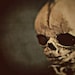 Właściciel(ka) sklepu <a href='https://www.etsy.com/pl/shop/LoveBizarreOddities?ref=l2-about-shopname&from_page=listing' class='wt-text-link'>LoveBizarreOddities</a>