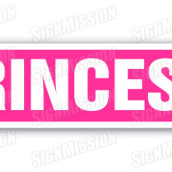 PRINCESS Street Sign name childrens room door gift kid child boy girl wall entry