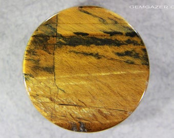 Marra Mamba Tigers Eye Quartz cabochon, Australia. 49.40 carats.