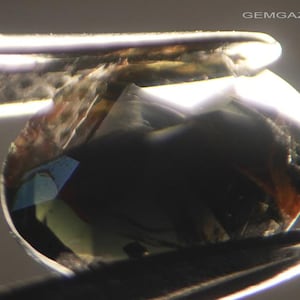 Pode incluir: Uma pedra preciosa facetada com tons verde-escuros e castanhos profundos, segurada por pinças de metal. A pedra apresenta reflexos de luz internos e facetas geométricas. O texto GEMGAZER.COM é visível no canto superior direito.