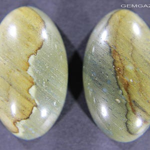 Blue Mountain Jasper cabochon pair,  Oregon USA.  34.65 carats total weight.