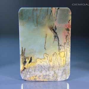 Cherry Creek Landschaft Jaspis Cabochon, China. 117,53 Karat.