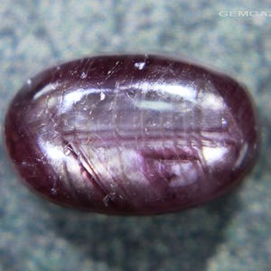 May include: An oval-shaped, cabochon-cut gemstone in a deep, dark purple-red hue. The surface of the stone displays a visible internal structure with linear, fibrous inclusions and a smooth, polished finish. The text GEMGAZER.COM is visible.