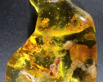 Copal Resin specimen with Termite insect inclusions, Colombia.  56.43 grams / 282.15 carats