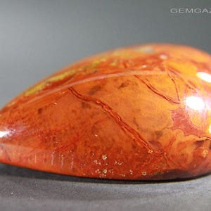 Zhanguo Warring States plume Agate, China. 158.68 carats. image 3