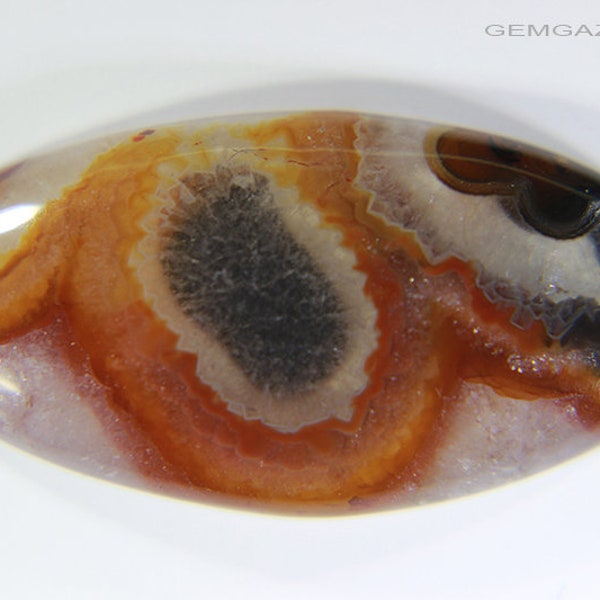 Banded Plume Agate cabochon, Turkey. 17.77 carats.