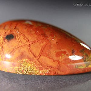 Zhanguo Warring States plume Agate, China. 158.68 carats. image 1