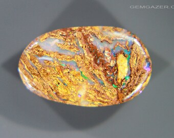 Fossil Wood Replacement Boulder Opal, Australia. 3.99 carats (Video)