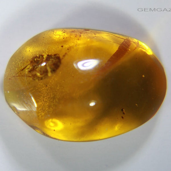 Amber cabochon with Beetle insect inclusion, Dominican Rpublic. 1.12 carats / 0.225 grams.