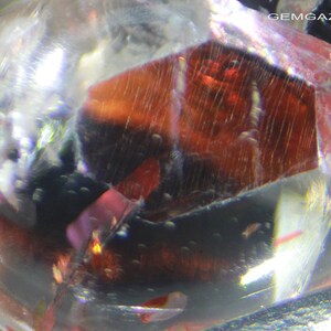 Pu&ograve; includere: Primo piano di un cristallo di quarzo trasparente con un'inclusione di granato rosso. Il granato &egrave; di colore rosso intenso e ha una forma sfaccettata. Il quarzo &egrave; trasparente e ha un leggero luccichio.