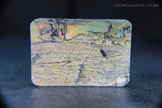 Cherry Creek Landscape Jasper cabochon, China. 140.76 carats.