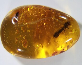 Amber cabochon with wood-boring Beetle insect inclusion, Domionican Republic. 2.35 carats / 0.47 grams.