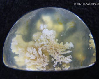 Teeter Ranch plume Agate cabochon, USA.  23.94 carats.