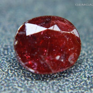 May include: A deep red, oval-cut gemstone with a faceted surface. The stone displays a rich, saturated crimson hue with visible internal inclusions and light-reflecting facets across its top. The text GEMGAZER.COM is visible in the top right corner.