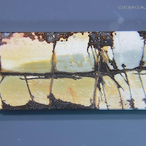 Cherry Creek Landschaft Jaspis Cabochon, China. 120,84 Karat.