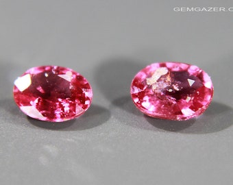 Ruby gemstones, matched pair, Madagascar. 0.77 carat total weight.