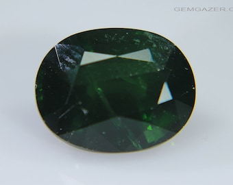 トップレアカラー 天然グリーントルマリン ヴェルデライト 4.33ct 15 x