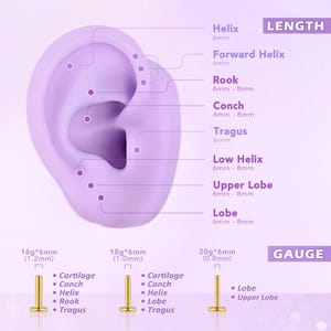 Gold Hammered Dot Flat Back Studs – Titanium Nap Earrings, Threadless Hypoallergenic Cartilage Helix Conch Tragus Jewelry image 9