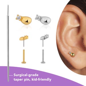 Implant Grade Titanium Flat Back Stud Earrings Hypoallergenic, Threadless Labret 16g/18g/20g, Tragus/Helix/Conch/ Cartilage Earring 14K Gold