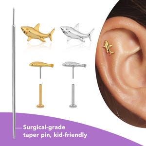 Aros tipo botón de tiburón en plata 925, aros con parte posterior plana en oro, aros tipo botón de titanio para cartílago, piercing de hélice o caracola, joyería para labio de 20 g/18 g/16 g