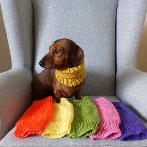 Dachshund or Small Dog Snood / Cowl / Hat image 1