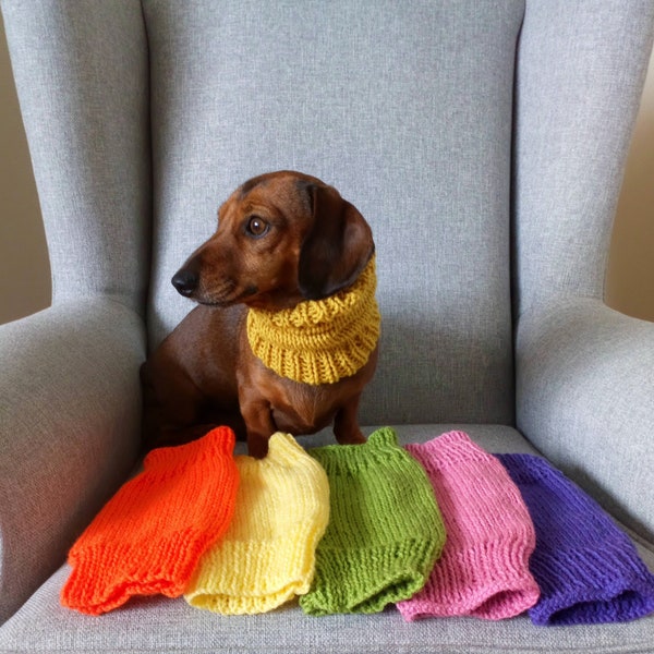 Dachshund or Small Dog Snood / Cowl / Hat