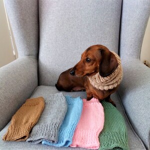 Dachshund or Small Dog Snood / Cowl / Hat image 9