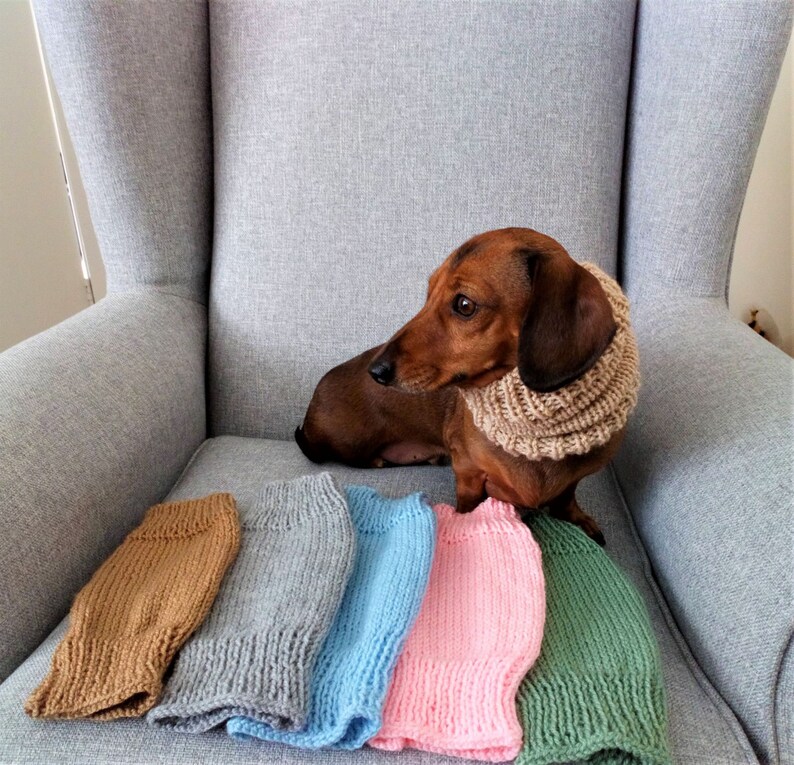 Dachshund or Small Dog Snood / Cowl / Hat image 9