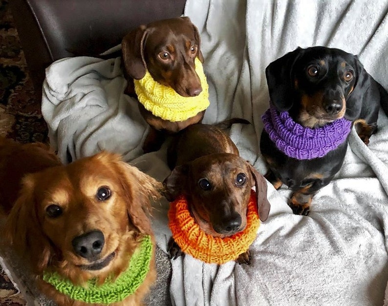Dachshund or Small Dog Snood / Cowl / Hat image 5
