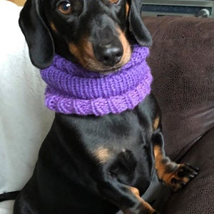 Dachshund or Small Dog Snood / Cowl / Hat image 3