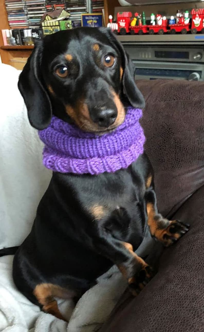 Dachshund or Small Dog Snood / Cowl / Hat image 3